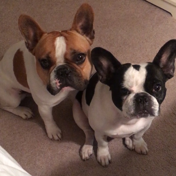 Meet your Posher, Stacy - Picture 1 of 1